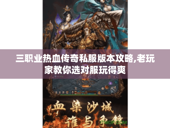 三职业热血传奇私服版本攻略,老玩家教你选对服玩得爽 三职业热血传奇私服版本攻略,老玩家教你选对服玩得爽