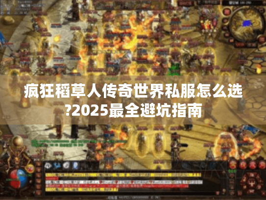 疯狂稻草人传奇世界私服怎么选?2025最全避坑指南 疯狂稻草人传奇世界私服怎么选?2025最全避坑指南