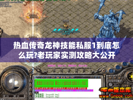 热血传奇龙神技能私服1到底怎么玩?老玩家实测攻略大公开 热血传奇龙神技能私服1到底怎么玩?老玩家实测攻略大公开