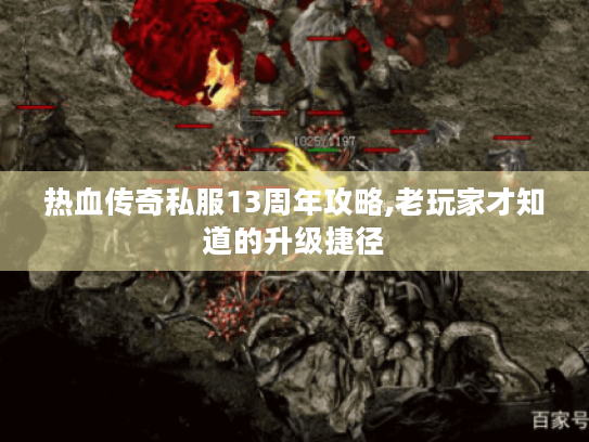 热血传奇私服13周年攻略,老玩家才知道的升级捷径