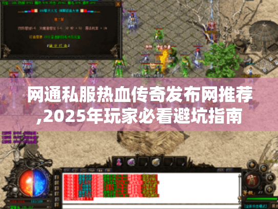 网通私服热血传奇发布网推荐,2025年玩家必看避坑指南 网通私服热血传奇发布网推荐,2025年玩家必看避坑指南