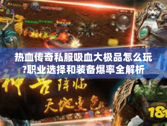 热血传奇私服吸血大极品怎么玩?职业选择和装备爆率全解析 热血传奇私服吸血大极品怎么玩?职业选择和装备爆率全解析