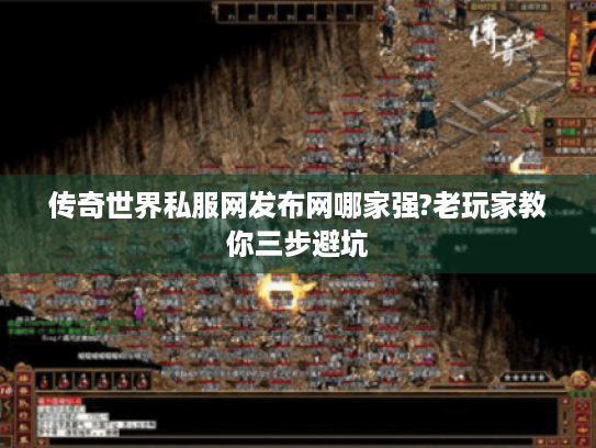 传奇世界私服网发布网哪家强?老玩家教你三步避坑 传奇世界私服网发布网哪家强?老玩家教你三步避坑