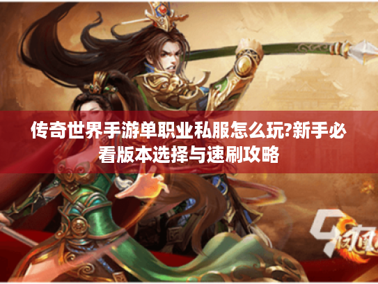 传奇世界手游单职业私服怎么玩?新手必看版本选择与速刷攻略 传奇世界手游单职业私服怎么玩?新手必看版本选择与速刷攻略