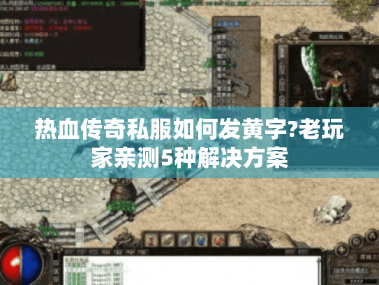 热血传奇私服如何发黄字?老玩家亲测5种解决方案 热血传奇私服如何发黄字?老玩家亲测5种解决方案