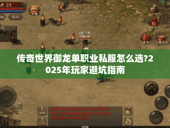 传奇世界御龙单职业私服怎么选?2025年玩家避坑指南