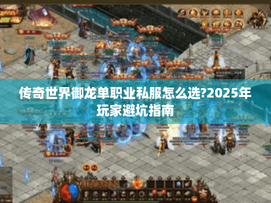 传奇世界御龙单职业私服怎么选?2025年玩家避坑指南