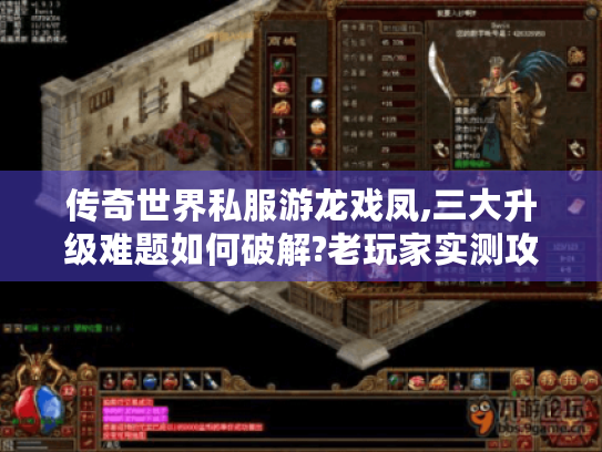 传奇世界私服游龙戏凤,三大升级难题如何破解?老玩家实测攻略 传奇世界私服游龙戏凤,三大升级难题如何破解?老玩家实测攻略