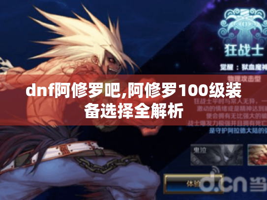 dnf阿修罗吧,阿修罗100级装备选择全解析