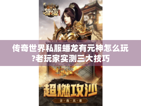 传奇世界私服蟠龙有元神怎么玩?老玩家实测三大技巧