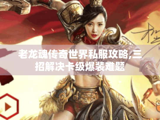 老龙魂传奇世界私服攻略,三招解决卡级爆装难题