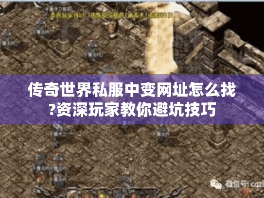 传奇世界私服中变网址怎么找?资深玩家教你避坑技巧 传奇世界私服中变网址怎么找?资深玩家教你避坑技巧