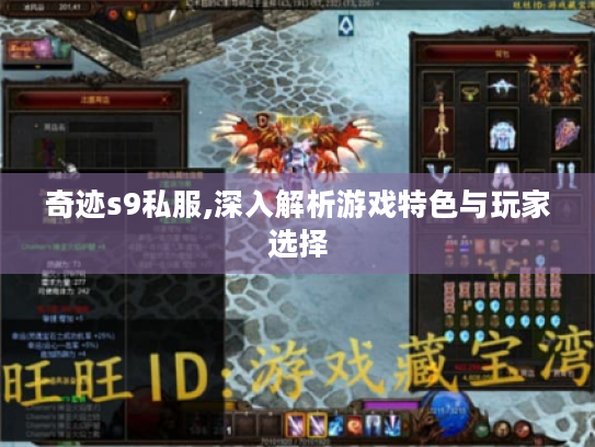奇迹s9私服,深入解析游戏特色与玩家选择 奇迹s9私服,深入解析游戏特色与玩家选择