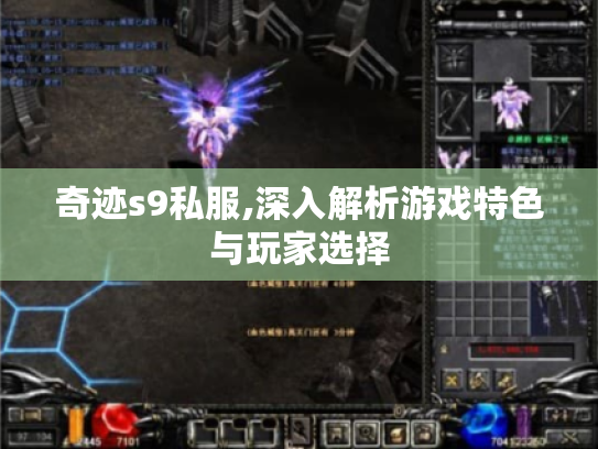 奇迹s9私服,深入解析游戏特色与玩家选择 奇迹s9私服,深入解析游戏特色与玩家选择