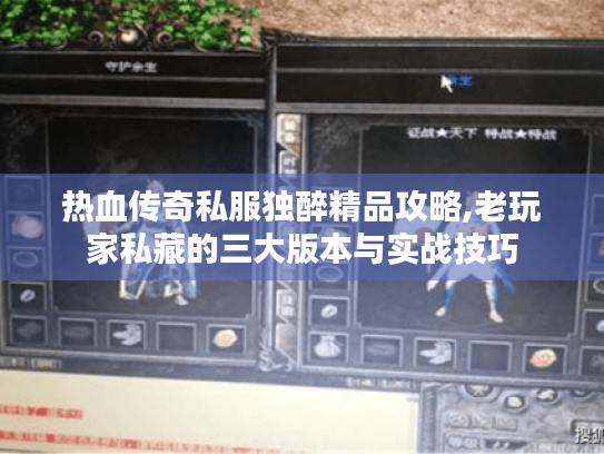 热血传奇私服独醉精品攻略,老玩家私藏的三大版本与实战技巧 热血传奇私服独醉精品攻略,老玩家私藏的三大版本与实战技巧
