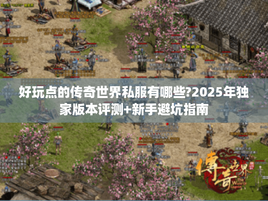 好玩点的传奇世界私服有哪些?2025年独家版本评测+新手避坑指南