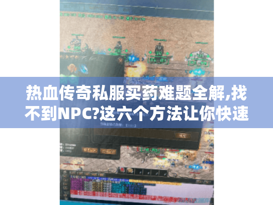 热血传奇私服买药难题全解,找不到NPC?这六个方法让你快速补给药水 热血传奇私服买药难题全解,找不到NPC?这六个方法让你快速补给药水