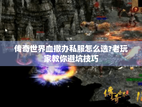 传奇世界血撒办私服怎么选?老玩家教你避坑技巧 传奇世界血撒办私服怎么选?老玩家教你避坑技巧
