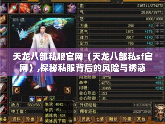 天龙八部私服官网(天龙八部私sf官网),探秘私服背后的风险与诱惑 天龙八部私服官网(天龙八部私sf官网),探秘私服背后的风险与诱惑