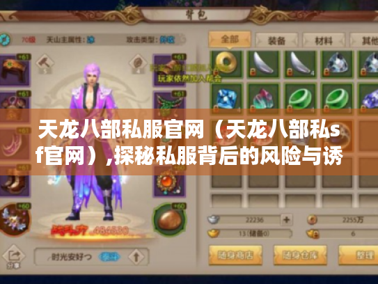 天龙八部私服官网(天龙八部私sf官网),探秘私服背后的风险与诱惑 天龙八部私服官网(天龙八部私sf官网),探秘私服背后的风险与诱惑
