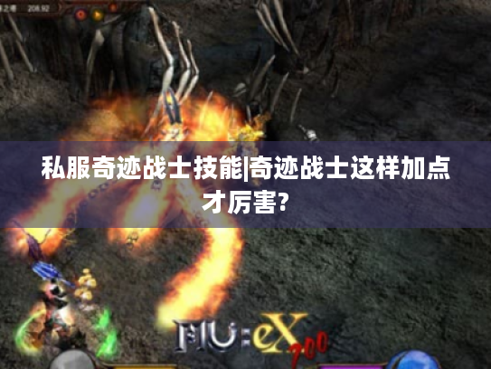 私服奇迹战士技能|奇迹战士这样加点才厉害? 私服奇迹战士技能|奇迹战士这样加点才厉害?