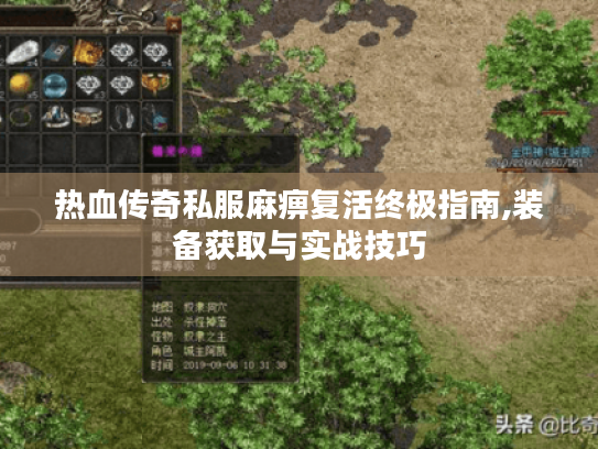 热血传奇私服麻痹复活终极指南,装备获取与实战技巧 热血传奇私服麻痹复活终极指南,装备获取与实战技巧