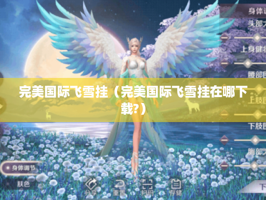 完美国际飞雪挂(完美国际飞雪挂在哪下载?) 完美国际飞雪挂(完美国际飞雪挂在哪下载?)