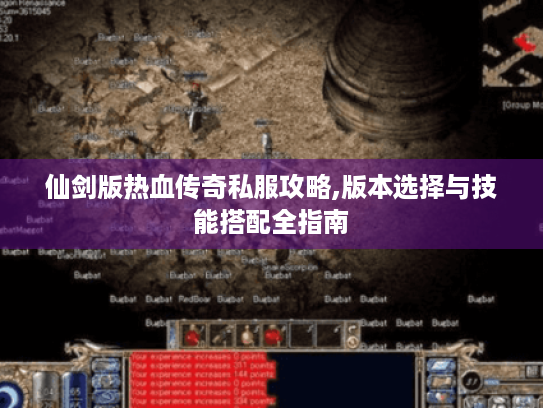 仙剑版热血传奇私服攻略,版本选择与技能搭配全指南 仙剑版热血传奇私服攻略,版本选择与技能搭配全指南