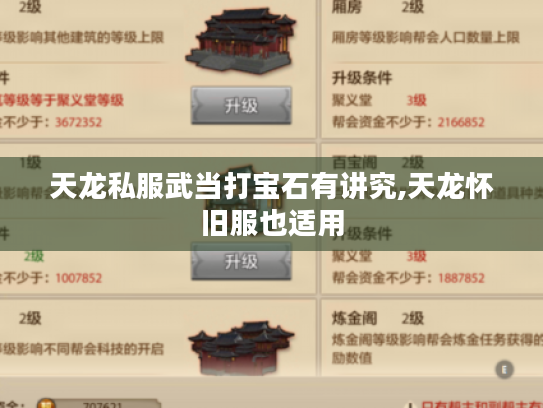 天龙私服武当打宝石有讲究,天龙怀旧服也适用 天龙私服武当打宝石有讲究,天龙怀旧服也适用