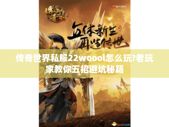 传奇世界私服22woool怎么玩?老玩家教你五招避坑秘籍