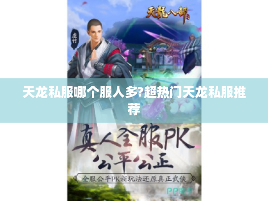 天龙私服哪个服人多?超热门天龙私服推荐