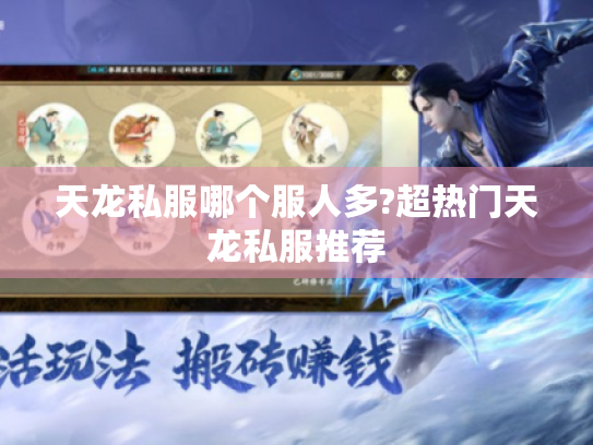 天龙私服哪个服人多?超热门天龙私服推荐