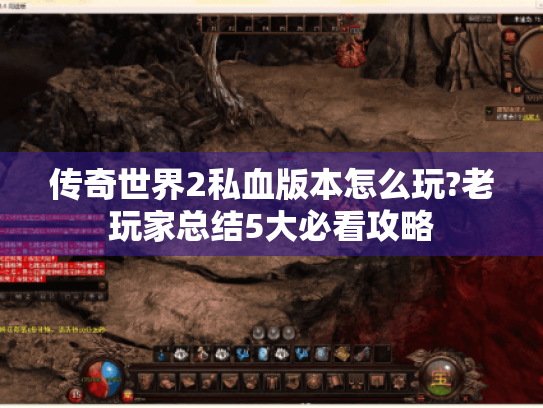 传奇世界2私血版本怎么玩?老玩家总结5大必看攻略 传奇世界2私血版本怎么玩?老玩家总结5大必看攻略