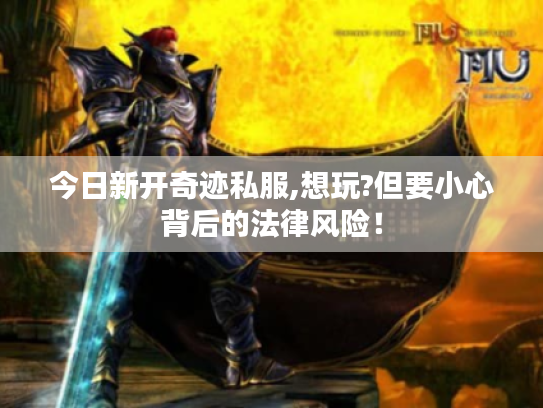 今日新开奇迹私服,想玩?但要小心背后的法律风险! 今日新开奇迹私服,想玩?但要小心背后的法律风险!
