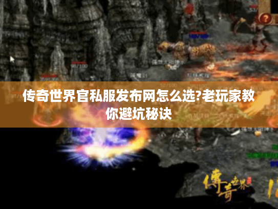 传奇世界官私服发布网怎么选?老玩家教你避坑秘诀 传奇世界官私服发布网怎么选?老玩家教你避坑秘诀