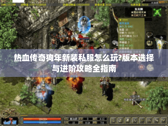 热血传奇狗年新装私服怎么玩?版本选择与进阶攻略全指南 热血传奇狗年新装私服怎么玩?版本选择与进阶攻略全指南