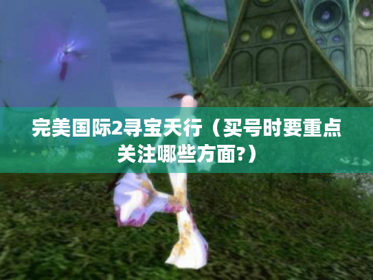 完美国际2寻宝天行(买号时要重点关注哪些方面?) 完美国际2寻宝天行(买号时要重点关注哪些方面?)