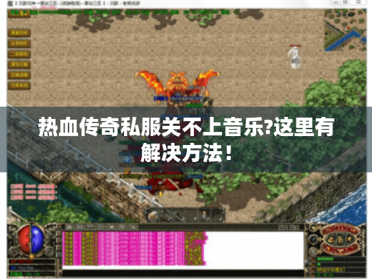 热血传奇私服关不上音乐?这里有解决方法! 热血传奇私服关不上音乐?这里有解决方法!