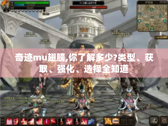 奇迹mu翅膀,你了解多少?类型、获取、强化、选择全知道 奇迹mu翅膀,你了解多少?类型、获取、强化、选择全知道