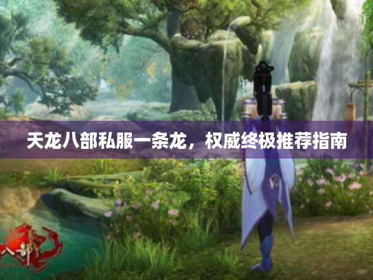 天龙八部私服一条龙,权威终极推荐指南 天龙八部私服一条龙,权威终极推荐指南