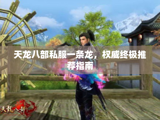 天龙八部私服一条龙,权威终极推荐指南 天龙八部私服一条龙,权威终极推荐指南