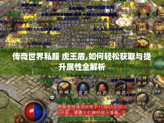 传奇世界私服 虎王盾,如何轻松获取与提升属性全解析 传奇世界私服 虎王盾,如何轻松获取与提升属性全解析