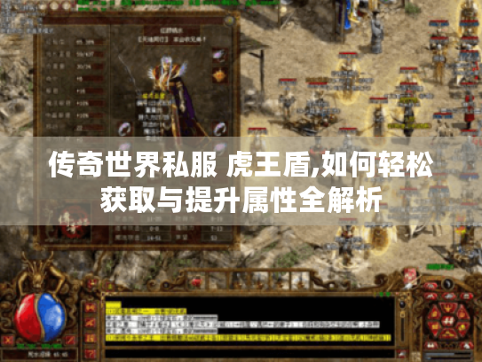 传奇世界私服 虎王盾,如何轻松获取与提升属性全解析 传奇世界私服 虎王盾,如何轻松获取与提升属性全解析