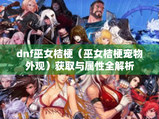 dnf巫女桔梗(巫女桔梗宠物外观)获取与属性全解析 dnf巫女桔梗(巫女桔梗宠物外观)获取与属性全解析