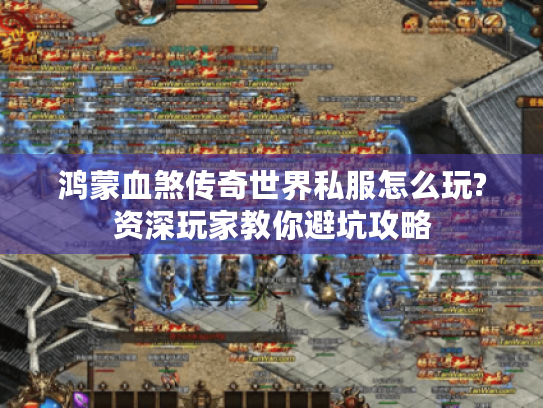 鸿蒙血煞传奇世界私服怎么玩?资深玩家教你避坑攻略 鸿蒙血煞传奇世界私服怎么玩?资深玩家教你避坑攻略