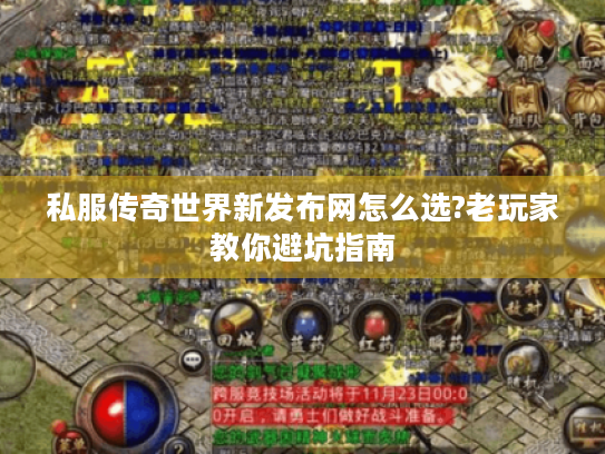 私服传奇世界新发布网怎么选?老玩家教你避坑指南 私服传奇世界新发布网怎么选?老玩家教你避坑指南