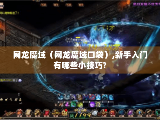 网龙魔域（网龙魔域口袋）,新手入门有哪些小技巧?