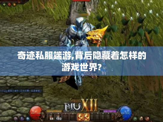 奇迹私服端游,背后隐藏着怎样的游戏世界? 奇迹私服端游,背后隐藏着怎样的游戏世界?