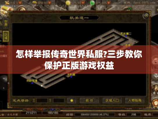怎样举报传奇世界私服?三步教你保护正版游戏权益 怎样举报传奇世界私服?三步教你保护正版游戏权益