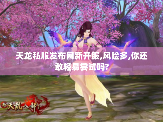 天龙私服发布网新开服,风险多,你还敢轻易尝试吗? 天龙私服发布网新开服,风险多,你还敢轻易尝试吗?